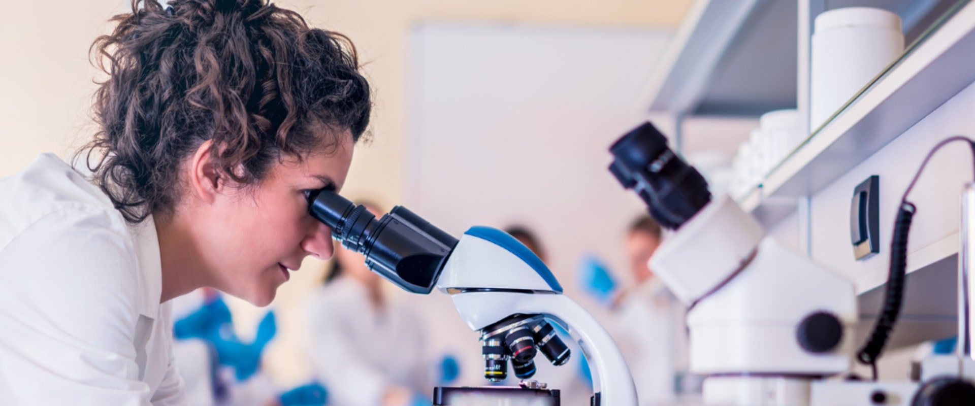 The Ultimate Guide to Optimizing Your Extracurricular Activities for Medical School