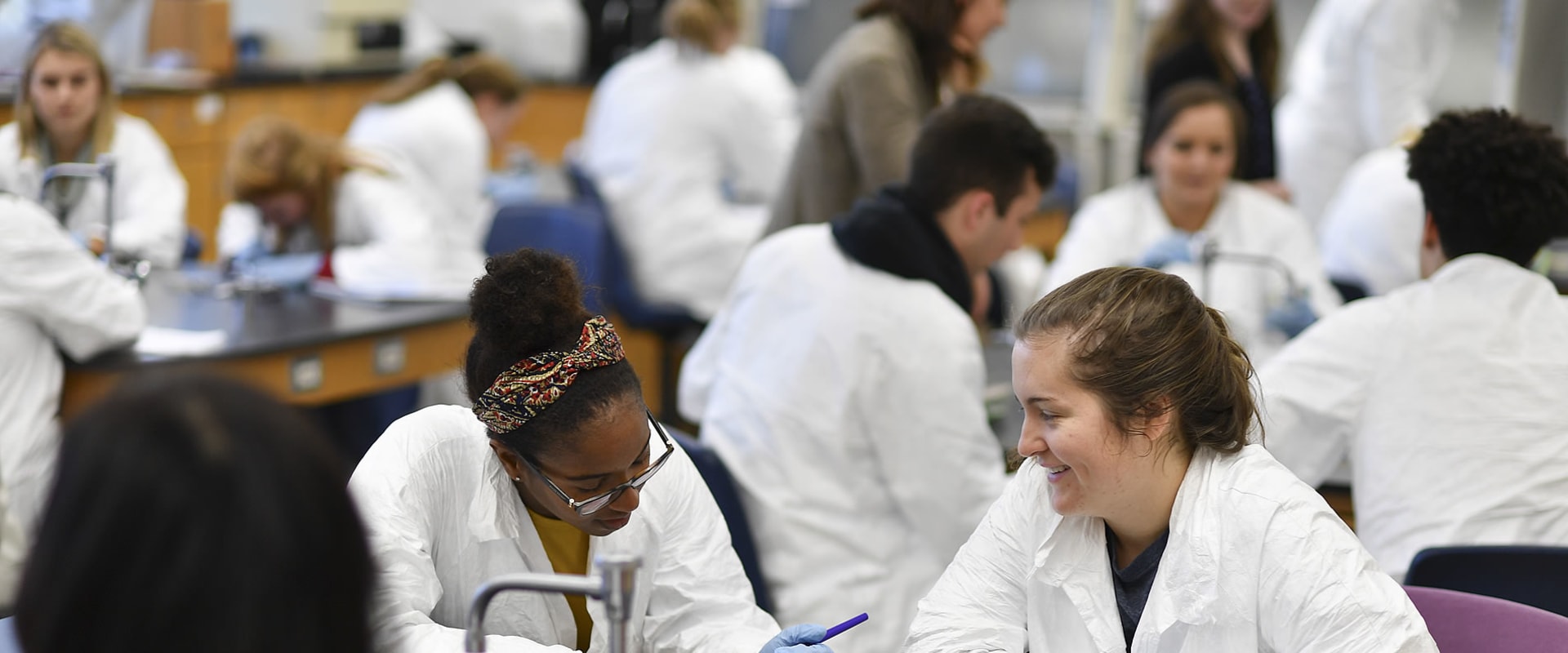 What Types of Courses are Offered in Medical School? A Comprehensive Guide to Understanding the Curriculum