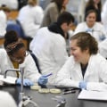 What Types of Courses are Offered in Medical School? A Comprehensive Guide to Understanding the Curriculum