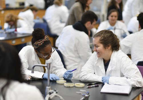 What Types of Courses are Offered in Medical School? A Comprehensive Guide to Understanding the Curriculum
